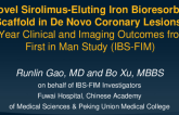 A Novel Sirolimus-Eluting Iron-Based Bioresorbable Scaffold Implantation in Single De Novo Coronary Lesions: Two-Year Clinical and Imaging Outcomes from the First in Man Study (IBS-FIM)