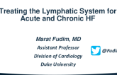 Treating the Lymphatic System for Acute and Chronic HF