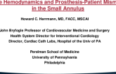 Special Considerations of Valve Hemodynamics and Prosthesis-Patient Mismatch in the Small Annulus