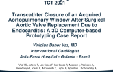 Transcathter Closure of an Acquired Aortopulmonary Window After Surgical Aortic Valve Replacement Due to Endocarditis: A 3D Computer-based Prototyping Case Report
