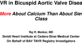 Lessons From the CTA: For Bicuspid It’s About Calcium Not About Sievers