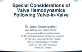Special Considerations of Valve Hemodynamics and Prosthesis-Patient Mismatch Following Valve-in-Valve
