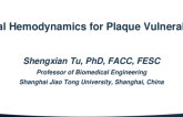 Local Hemodynamics for Plaque Vulnerability