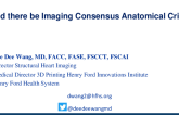 Patient Anatomical Selection for LAAO: Should There Be Imaging Consensus Anatomical Criteria?