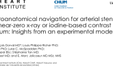 Electroanatomical Navigation for Arterial Stenting with Near-Zero X-Ray or Iodine-Based Contrast Medium: Insights from Experimental Data