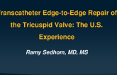 Transcatheter Edge-to-Edge Repair of the Tricuspid Valve: The U.S. Experience