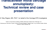 Transcatheter Mitral Cerclage Annuloplasty for Functional Mitral Regurgitation: Technology Review and Case Presentations