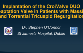 Temporary Implantation of the CroiValve DUO Coaptation Valve in Patients with Massive and Torrential Tricuspid Regurgitation