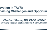 Innovation in the TAVR Space: Remaining Challenges and Opportunities