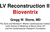 LV Reconstruction II:  Bioventrix