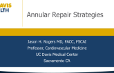 Annular Repair Strategies (Millipede, Carillon, Cardioband)