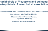 TCT 594: Arterial Circle Of Vieussens And Pulmonary Artery Fistula: A Rare Clinical Association