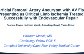 TCT 562: Superficial Femoral Artery Aneurysm and Arteriovenous Fistula Presenting as Critical Limb Ischemia Treated Successfully With Endovascular Repair