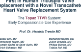 Tricuspid Valve Replacement With a Novel Transcatheter Heart Valve Replacement System: Early Human Clinical Experience (TRiCares)