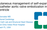 TCT 531: Percutaneous Management of Self-Expanding Transcatheter Aortic Valve Embolization Into The Left Ventricle