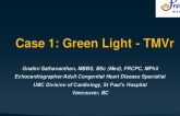 Case 1: Green Light – TMVr Based on Echo Imaging