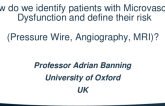 How Do We Identify Patients With Microvascular Dysfunction and Define Their Risk (Pressure Wire, Angiography, MRI)?