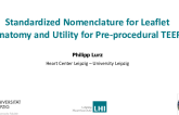 Standardized Nomenclature for Leaflet Anatomy and Utility for Pre-procedural TEER Planning