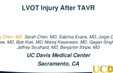 TCT 534: LVOT Injury After Transcatheter Aortic Valve Replacement