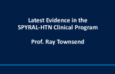 Latest Evidence in the SPYRAL-HTN Clinical Program