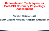 Case-Based Learning: Rationale and Techniques for Post-PCI Coronary Physiology Assessment