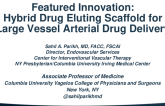 Hybrid Drug Eluting Scaffold for Large Vessel Arterial Drug Delivery