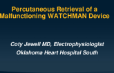 Percutaneous Retrieval of a Malfunctioning WATCHMAN Device