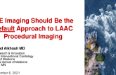 ICE Imaging Should Be the Default Approach to LAAC Procedural Imaging