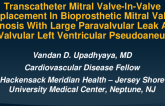 TCT 578: Transcatheter Mitral Valve-In-Valve Replacement In Bioprosthetic Mitral Valve Stenosis With Large Paravalvular Leak And Sub-Valvular Left Ventricular Pseudoaneurysm