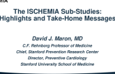 The ISCHEMIA Sub-studies: Highlights and Take-Home Messages