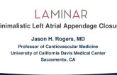 LAA Closure with the Laminar Device: technology and Clinical Update