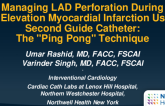 TCT 650: Managing LAD Perforation During ST Elevation Myocardial Infarction Using Second Guide Catheter: The "Ping Pong" Technique