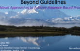 Beyond Guidelines – Novel Approaches to Achieve Evidence-Based Practice