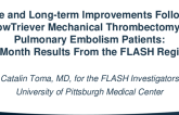 Acute and Long-term Improvements Following FlowTriever Mechanical Thrombectomy in Pulmonary Embolism Patients: Six-Month Results From the FLASH Registry