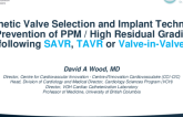 Prosthetic Valve Selection and Implant Techniques for Prevention of PPM/High Residual Gradients Following SAVR, TAVR, or Valve-in-Valve