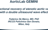 AorticLab GEMINI - Functional Recovery of Stenotic Aortic Valve With A Double Ultrasound Wave Effect