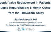 TRISCEND: Six-Month Outcomes of Transfemoral Tricuspid Valve Replacement in Patients With Tricuspid Regurgitation