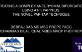 TCT 605: Treating a Complex Aneurysmal Bifurcation using a PK Papyrus: The Novel Pap-TAP Technique