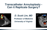 Transcatheter Annuloplasty - Can it Replicate Surgery