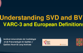 Understanding SVD and BVF: VARC-3 and European Definitions