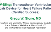 V-Sling: Transcatheter Ventricular Repair Devices for Heart Failure Patients (Cardiac Success)