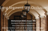 Case Presentation: Long Segment SFA Occlusion