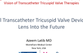 Novel Transcatheter Tricuspid Valve Devices: A Lens Into the Future