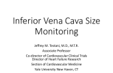 Inferior Vena Caval Size Monitoring