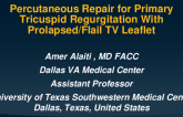 TCT 601: Percutaneous Repair for Primary Triscuspid Regugitation With Flail TV Leaflet