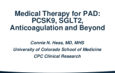 Medical Therapy for PAD: PCSK9, SGLT2, Anticoagulation and Beyond