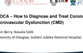 Case-Based Presentation 5: INOCA – How to Diagnose and Treat Coronary Microvascular Dysfunction (CMD)