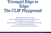 Tricuspid Edge to Edge: ​ The CLIP Playground​