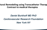 Structural Remodeling Using Transcatheter Therapies: Contrast to Medical Therapies