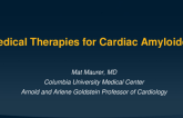 Featured Lecture: Medical Therapies for Amyloid
